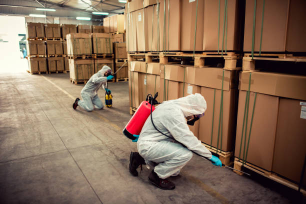 Best Pest Removal Services  in Brownsville, TN