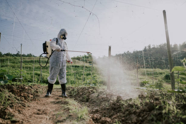 Best Mosquito Control Services  in Brownsville, TN