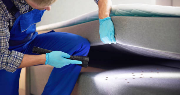 Best Pest Control Near Me in Brownsville, TN