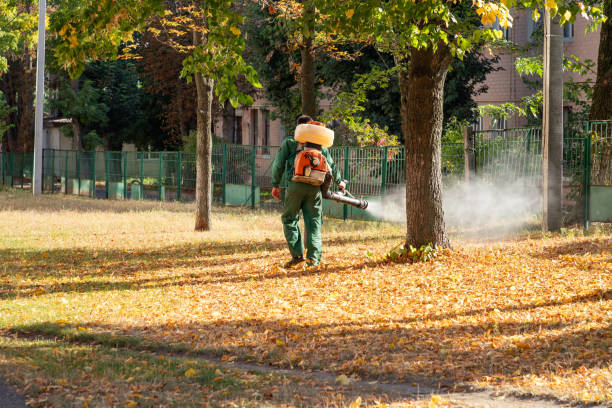 Best Wildlife Control Services  in Brownsville, TN