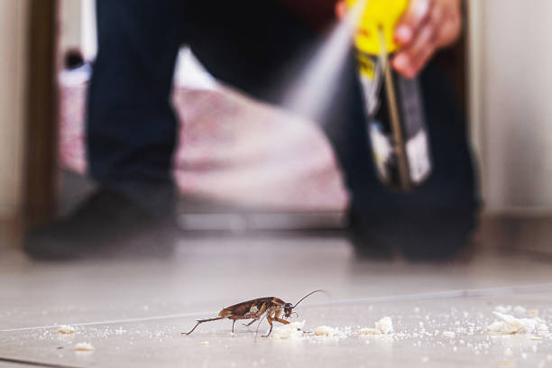 Best Commercial Pest Control Services  in Brownsville, TN