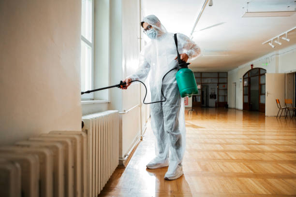 Best Affordable Pest Control Services  in Brownsville, TN