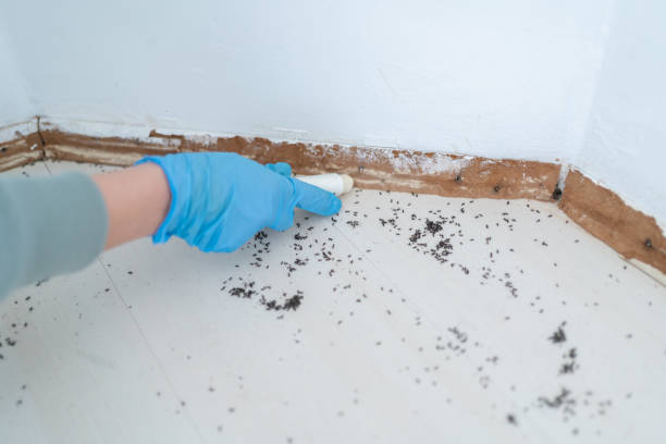 Pest Control Cost in Brownsville, TN